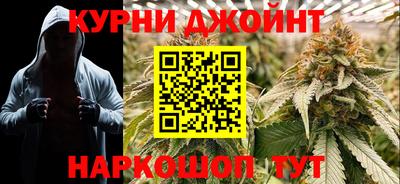 крисы Канаш
