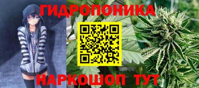 крисы Канаш