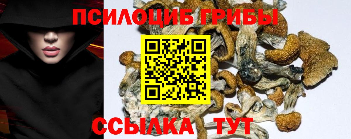Галлюциногенные грибы прущие грибы  Вход с VPN  Чусовой 